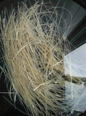 粉条用清水浸泡一会儿