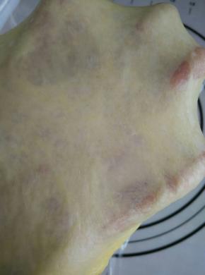 揉出手套膜，盖保鲜膜进行发酵。发酵至二倍时停止