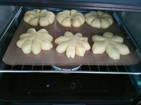 放入烤箱里进行二次发酵