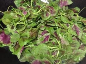 加入洗净的苋菜翻炒