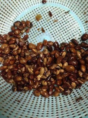 豆豉洗净捞出备用。