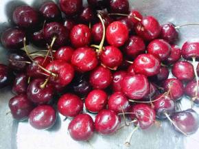 首处理樱桃，去根，洗干净。