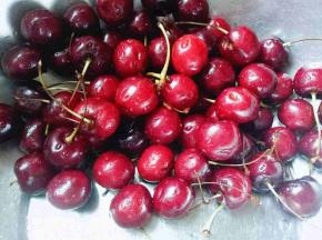 首处理樱桃，去根，洗干净。