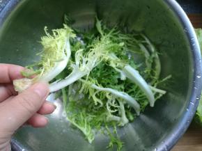 苦菊用手掰成一片片小叶子。