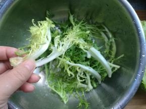 苦菊用手掰成一片片小叶子。