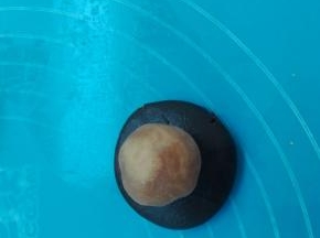 领取一块桃山皮约20克，馅料约15克