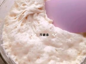 波兰种所有材料混和盖保鲜膜放冰箱冷藏20小时左右.里面都是小汽泡就好了.
