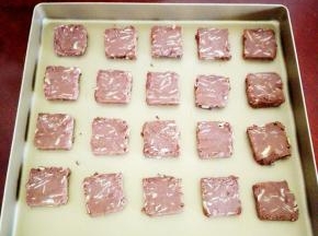 1小时候，烤箱180度预热，
将饼干团取出切片，放在烤盘上