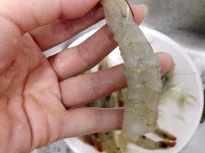 虾去头部、剥去壳去虾线，留尾巴和倒数一节不剥。