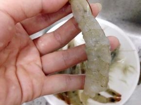 虾去头部、剥去壳去虾线，留尾巴和倒数一节不剥。