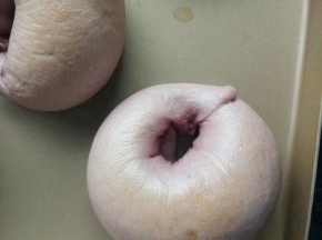 立即送入预热好的烤箱，200度15分钟左右。