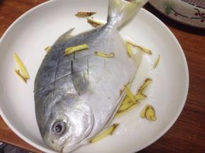 把白鲳鱼去鱼鳃、内脏、清洗净用少许食盐稍做腌制。