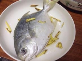 把白鲳鱼去鱼鳃、内脏、清洗净用少许食盐稍做腌制。