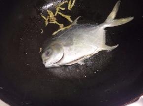 锅里倒入适量的油，是先把姜煸香，然后把俺好的鱼加入