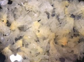 雪耳泡发洗干净撕成小块，加清水炖煮