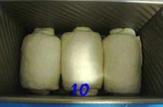 放入吐司模，套上保鲜袋，放温暖处发酵；