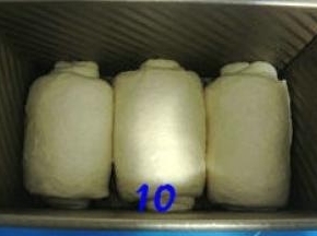 放入吐司模，套上保鲜袋，放温暖处发酵；