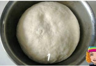 中种面团混合揉成团，盖上保鲜膜放冰箱冷藏发酵17小时；