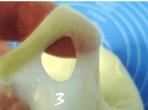 取出冷藏的面团，揉至扩展阶段后加入软化的黄油，继续揉摔至完全阶段；