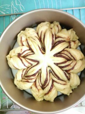 这样反复操作，直至都拧好，就可以刷一层蛋液，放入烤箱中进行发酵了。大概发酵50分钟左右。