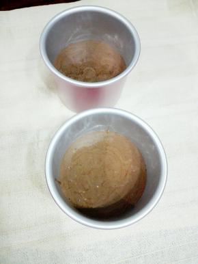 将翻拌好的蛋糕糊倒入模具中，两个4寸加深活底模具，提起模具振三下，振出大气泡