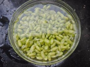 毛豆去掉外壳洗干净表面的豆衣