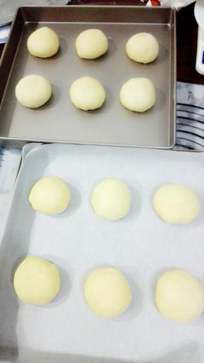 揉圆后，分别放入两个烤盘内，烤盘内的面团注意保持距离