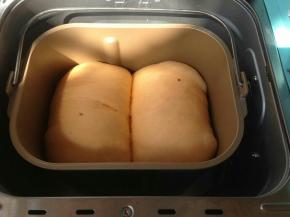 发酵好的面包坯