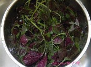 将红苋菜去根、黄叶，清洗干净；