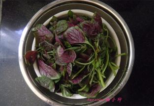 把洗净的苋菜放入沥水篮里控一下水份；