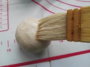 刷蛋白液