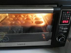 放温暖湿润处，进行二次发酵2至2.5倍大，可选用烤箱发酵功能放碗热水发酵，发酵温度控制在36度左右，50分钟左右发酵完成。