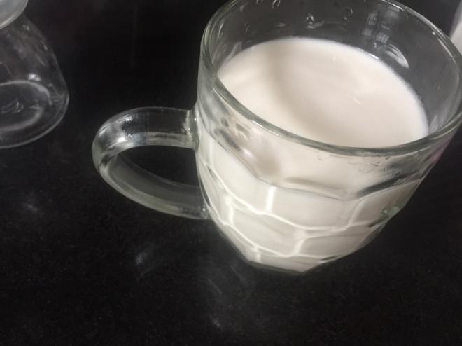 自制酸奶（面包机版）