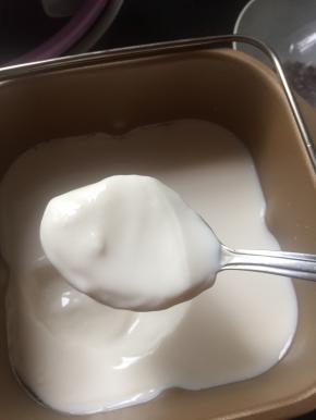 八小时后，老酸奶好了