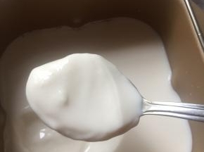 八小时后，老酸奶好了