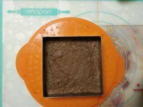把拌好的慕斯液倒入放了蛋糕片的模具中，入冰箱冷冻一小时。