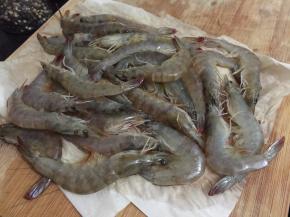 3. 用纸把水份吸干