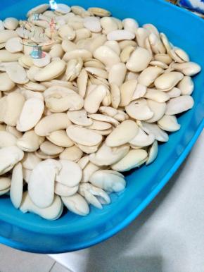 白芸豆提前用配方外大量的水浸泡一天，要完全盖过芸豆。天气热室温高的话建议中间换水3-4次。豆子完全吸饱水之后，请开启手动模式。去皮！ - - 反正我当时剥完皮站的我腰都酸了，建议你们坐着来吧，或者喊上家里能帮忙的一起。去皮后的芸豆沥干水分，加入配方中的2kg水，电饭煲蒸50分钟。然后倒出来沥干多余水分备用