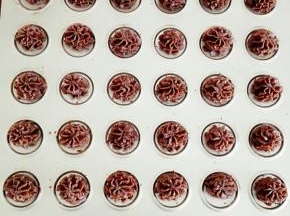 烤箱170度上下管预热，
在烤盘上挤出曲奇