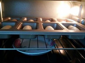 放入烤箱发酵，下面放一盘水，保持湿度，发酵至2倍大，