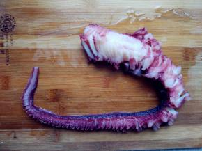 擦净表面水分，在砧板上用刀斜向45度，切均匀的连刀片，即底部不要切断，从头到尾切好