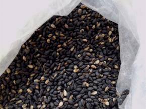 黑芝麻淘洗干净，入不粘锅小火炒熟