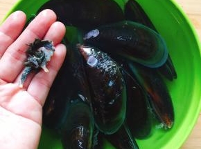 剥去青口周围的海草，再用铁丝或是牙刷刷青口背上的海草