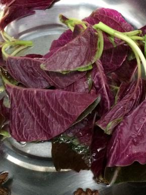 最后将红苋菜叶放入大火烧开，转小火慢煮，直到水变成粉色