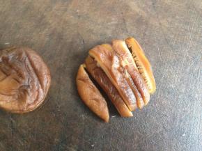 泡软香菇，将菇切成条状。