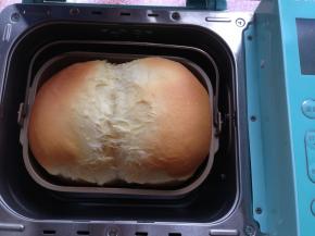 高蛋配方，爆发力特别强