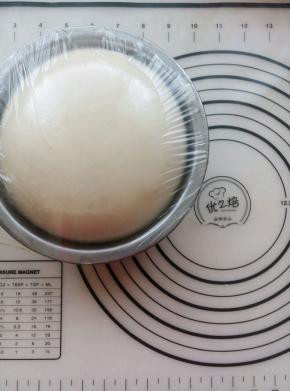 . 中种材料揉光滑放冰箱冷藏12或者24小时发酵两倍大。