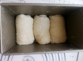 放温暖处发酵两倍大