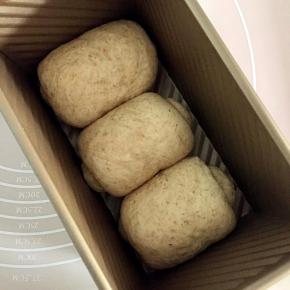 依次做好三个面团，放入吐司模具中