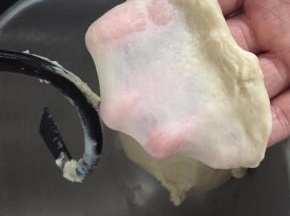 4
揉至可以拉出一张溥溥的膜，整圆放温暖外发酵至2倍大